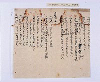 乾隆四十五年（1780）岸裡社潘兆仁與許愧吾、潘兆敏與王文瑄立議納約字（請收租字）藏品圖，第14張